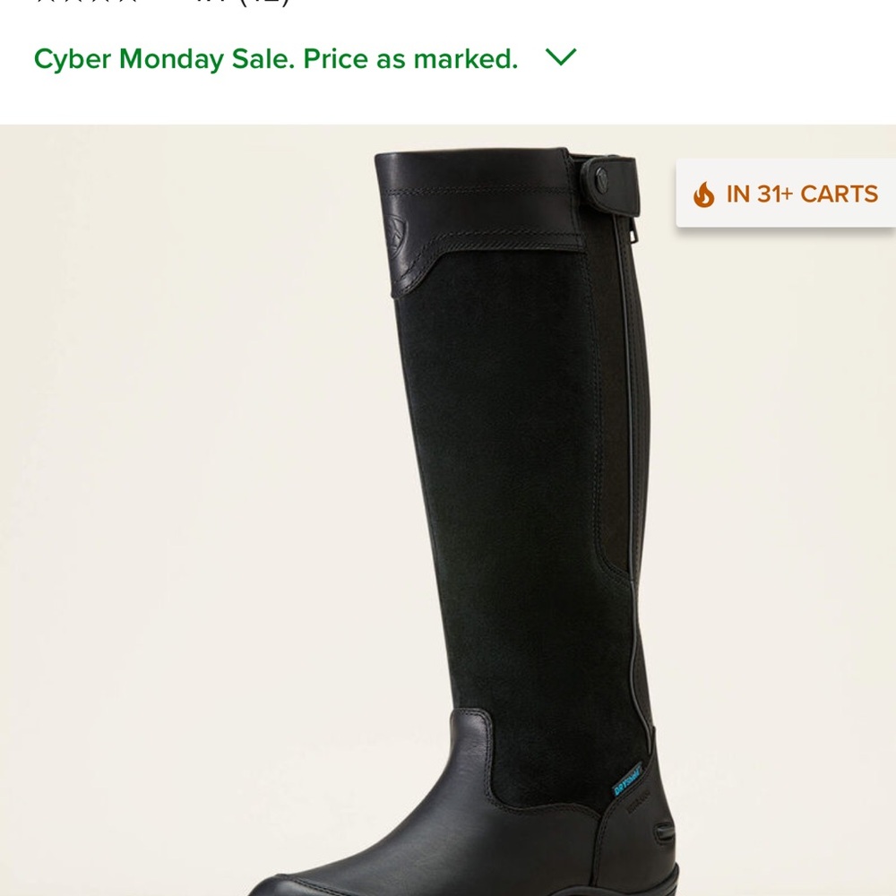 Ladies Ariat Black Leather Thinsulate Insulated Boot